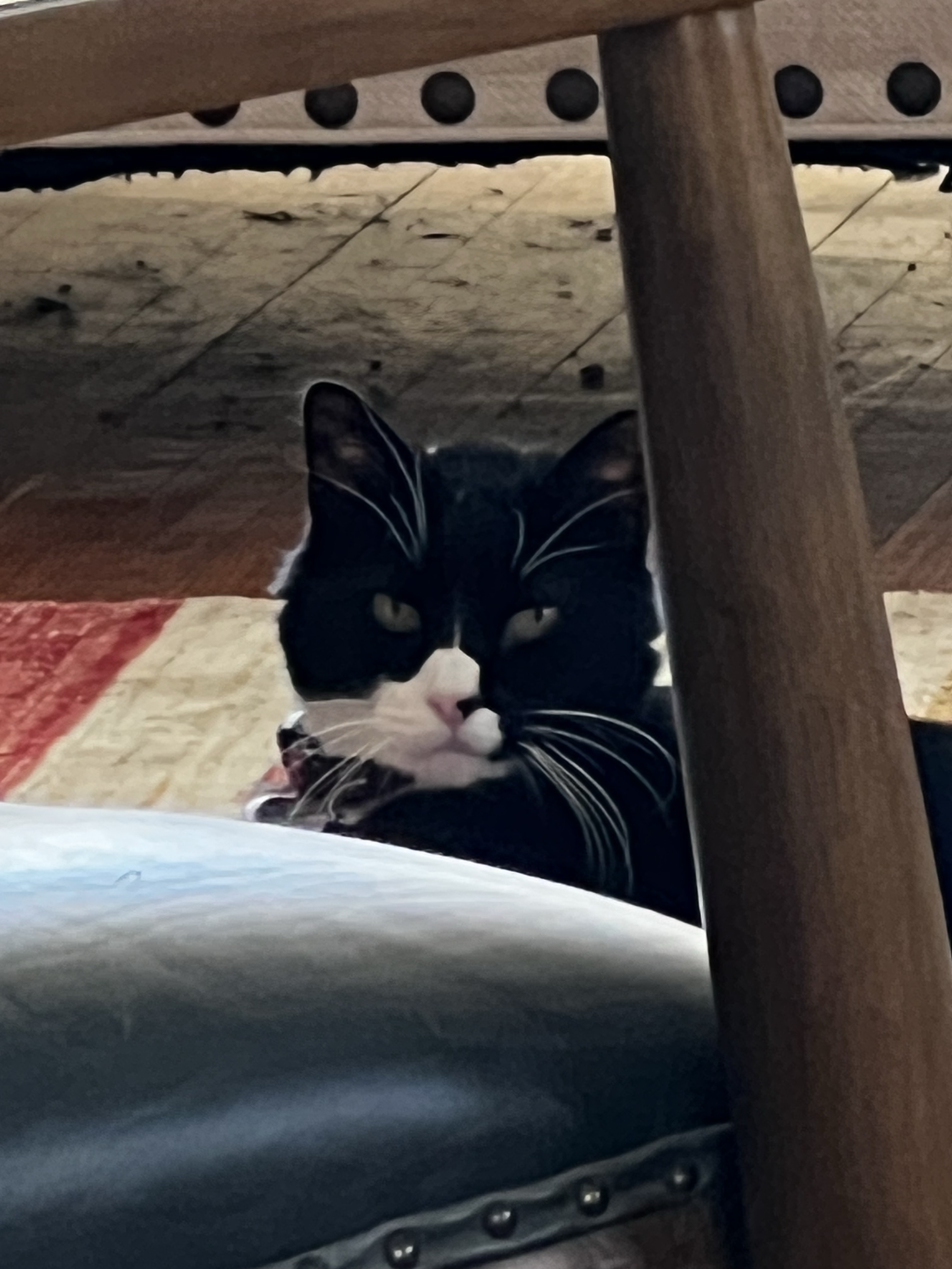 Exploring a food market abroad